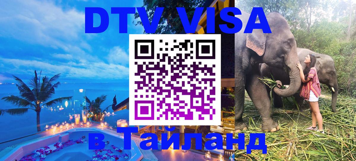 Оформление DTV визы под ключ: стоимость и тарифы, только загранпаспорт - 